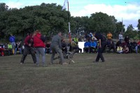 /album/fotogaleria/knutt-y-nacho-jpeg/